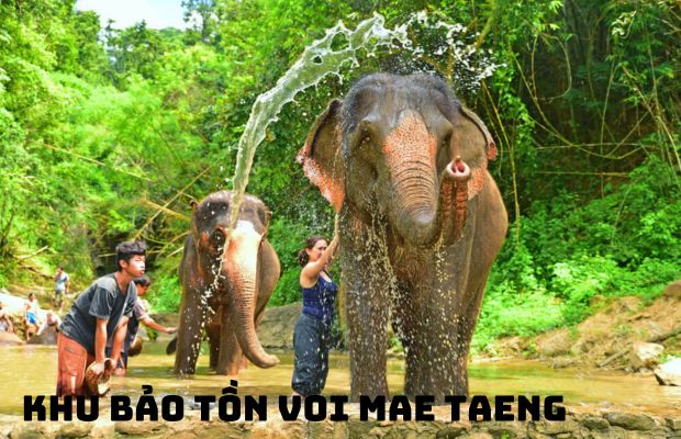 Tour du lịch Tết Thái Lan 4 ngày 3 đêm khám phá Chiang Mai Chiang Rai 2024