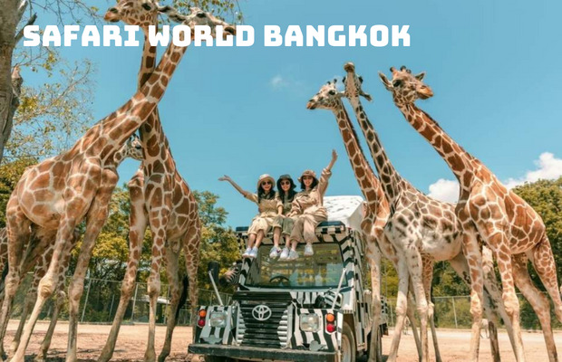 Tour du lịch Thái Lan 5N4Đ ngắm Hải Âu: Bangkok – Pattaya Tết Giáp Thìn 2024