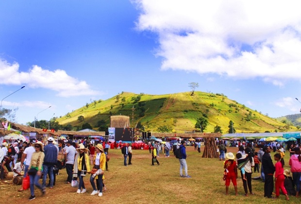 tuần lễ hoa dã quỳ núi lửa chư đang ya - đôi nét về tuần lễ hoa dã quỳ 