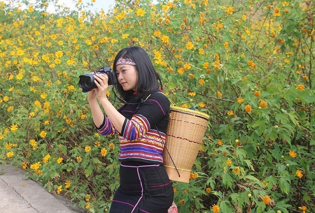 tuần lễ hoa dã quỳ núi lửa chư đang ya - phong cảnh tuyệt đẹp  