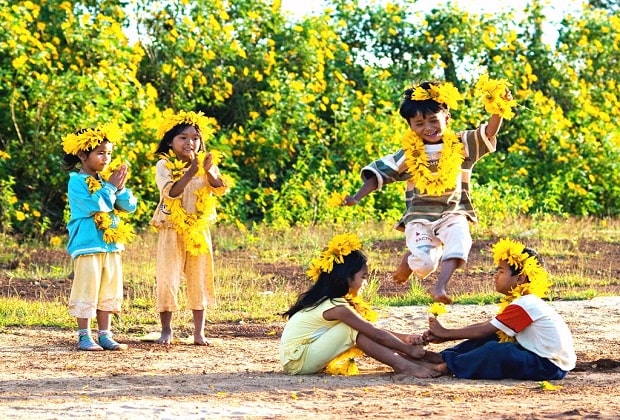 tuần lễ hoa dã quỳ núi lửa chư đang ya - Núi rừng ngàn hoa với phong cảnh tuyệt đẹp