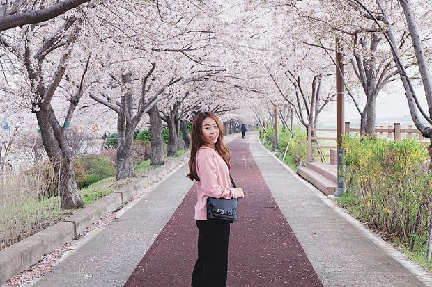 Vé máy bay đi Hàn Quốc giá rẻ