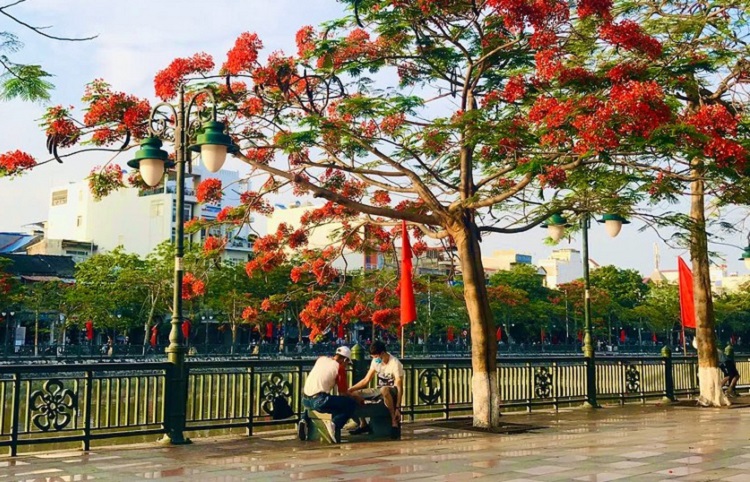 Du lịch Hải Ph&ograve;ng