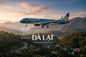 Chạm vào mùa dã quỳ cùng Vé máy bay Vietnam Airlines đi Đà Lạt tháng 11 tại Vietnam Booking