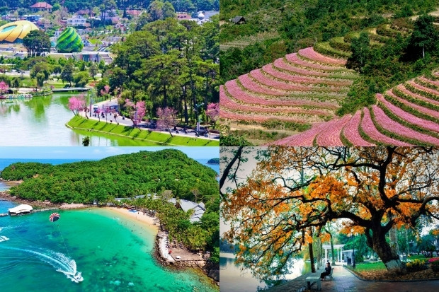 Thời điểm v&agrave;ng mở cửa đ&oacute;n thu với c&aacute;c tọa độ sau đ&acirc;y!