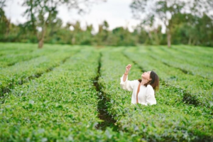 Top các hãng hàng không khai thác đường bay Hà Nội – Pleiku giá rẻ