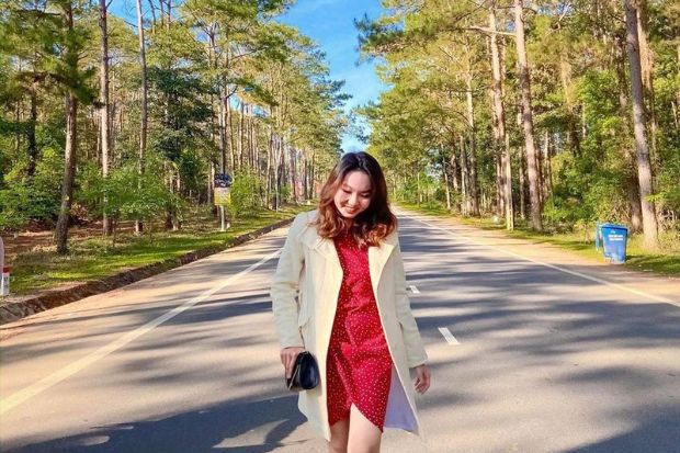 Địa điểm du lịch Măng Đen - Rừng th&ocirc;ng Măng Đen