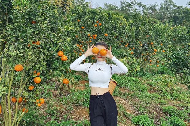 Địa điểm du lịch Măng Đen - Trang trại