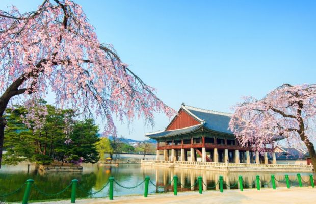 du-lich-han-quoc-thang-may-1 Mỗi mùa tại Hàn Quốc đều mang một vẻ đẹp khác nhau thu hút nhiều du khách ghé thăm