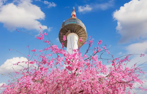 du-lich-han-quoc-thang-may-2 Du lịch Hàn Quốc tháng nào đẹp nhất?