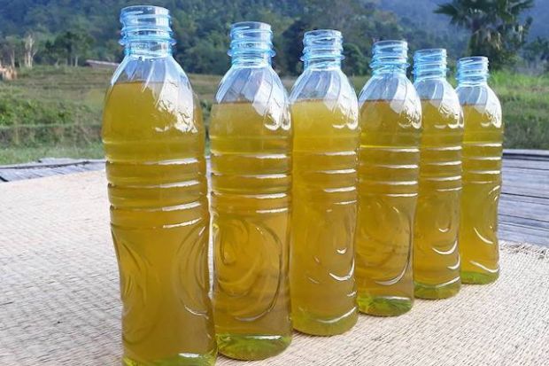 Hà Giang có đặc sản gì - Mật ong bạc hà