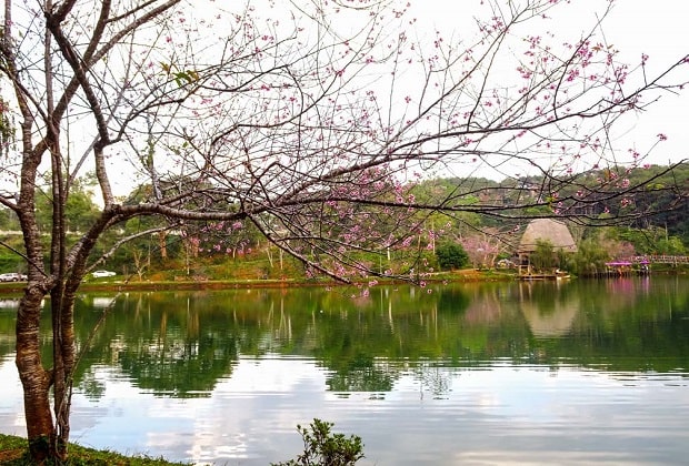 khu du lịch măng đen - hồ đăk ke