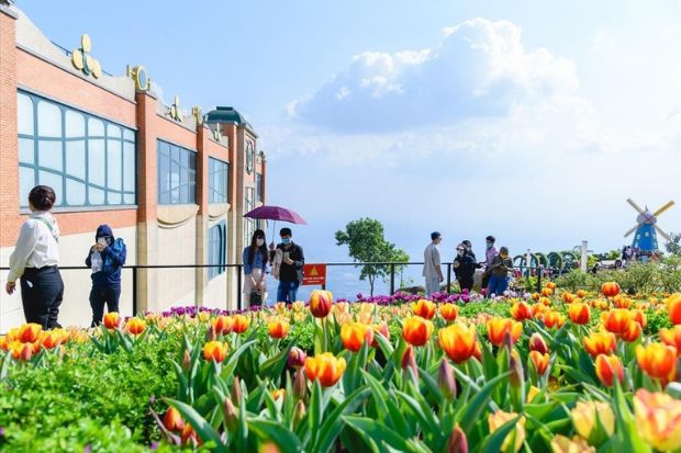 Tết nên đi du lịch ở đâu miền Nam - Tây Ninh