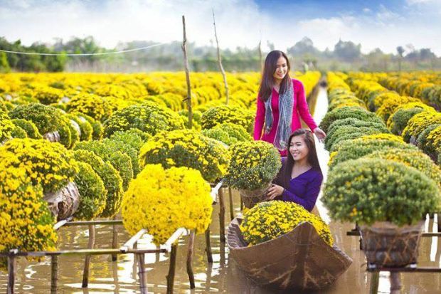 Tết nên đi du lịch ở đâu miền Nam - Đồng Tháp