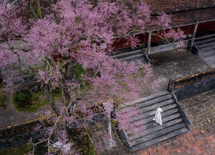 Thời điểm l&yacute; tưởng để đặt mua v&eacute; m&aacute;y bay H&agrave; Nội Huế