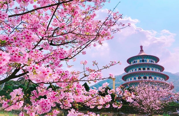Tour du lịch Đài Loan - Du lịch Đài Loan vào thời điểm nào thích hợp