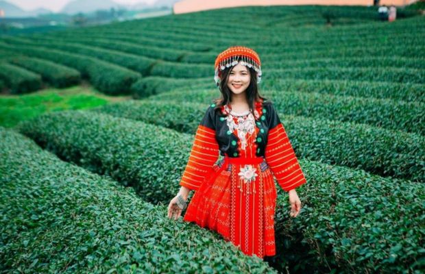 tour-du-lich-moc-chau-doi-che-trai-tim Đồi chè trái tim đẹp thơ mộng trên cao nguyên