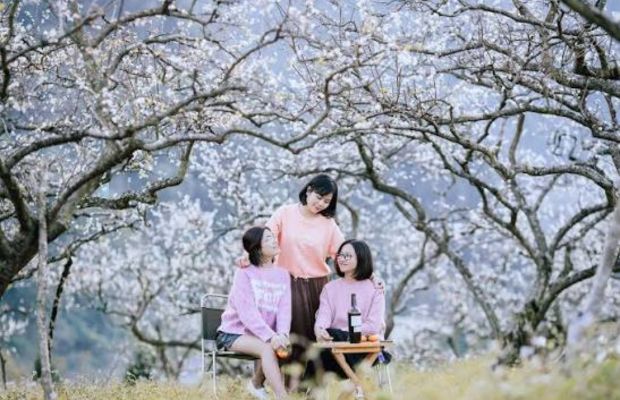tour-du-lich-moc-chau-mua-dep-nhat Mùa hoa mận Mộc Châu trắng xóa cả đất trời thu hút nhiều du khách ghé tắm