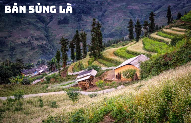 Tour Du Lịch Hà Giang 3 Ngày 2 Đêm: Khám Phá Cao Nguyên Đá Đồng Văn và Sông Nho Quế