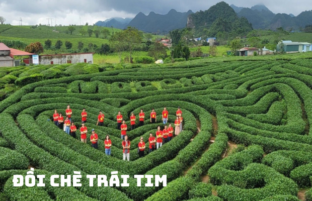 Tour Du Lịch Tây Bắc 2 Ngày 1 Đêm Tết Âm| Hà Nội – Mộc Châu – Cầu Kính Bạch Long