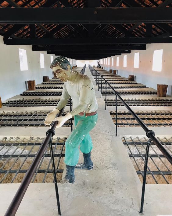 vé máy bay đi Côn Đảo tháng 12