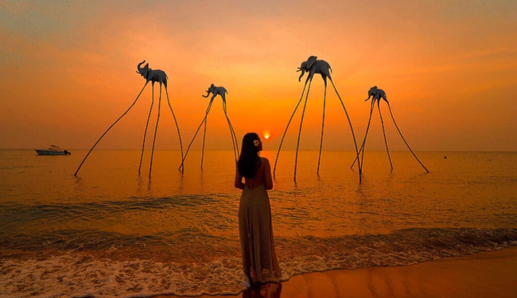 Vé máy bay Sài Gòn Phú Quốc