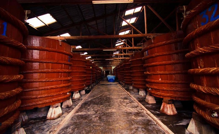 Nhà thùng nước mắm Phú Quốc