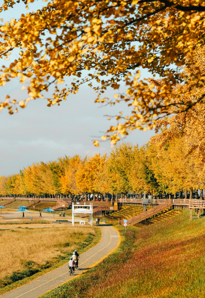 Vietnam Airlines tặng h&agrave;nh l&yacute;