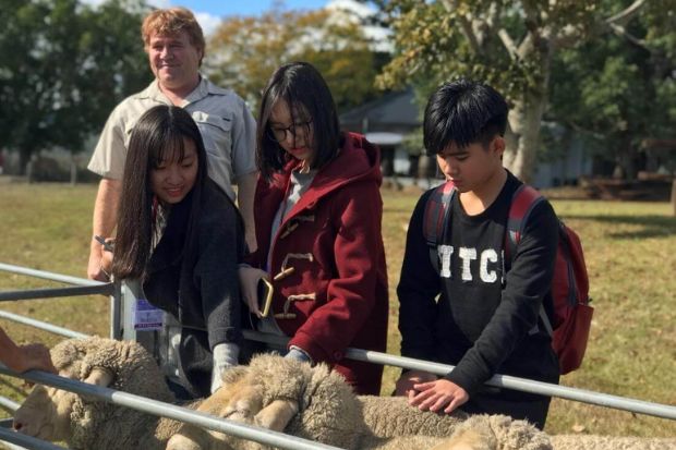 Lợi &iacute;ch khi tham gia du học h&egrave; tại Mỹ