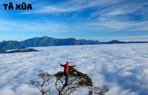 Tour Mộc Châu 2N1Đ: Khám Phá Cầu Kính Bạch Long và Săn Mây Tà Xùa