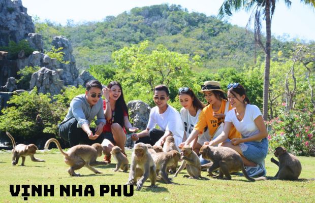 Tour Vĩnh Hy Nha Trang 3N3Đ | Vi vu khám phá thành phố biển tuyệt vời