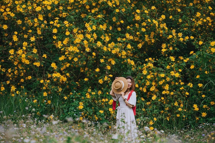 Hoa d&atilde; quỳ Đ&agrave; Lạt