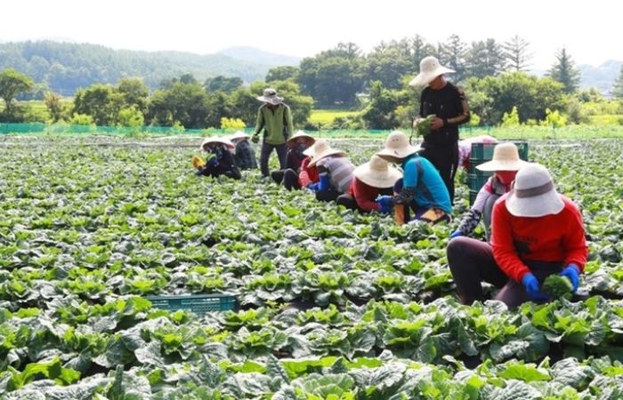 Các ngành nghề lao động