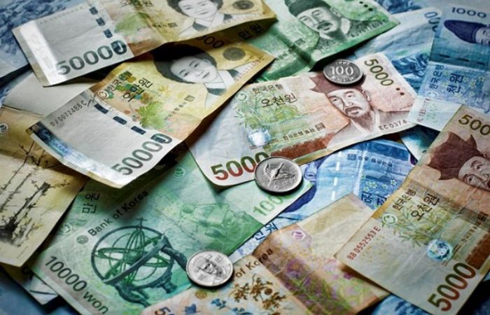 Lệ ph&iacute; xin visa D3 H&agrave;n Quốc