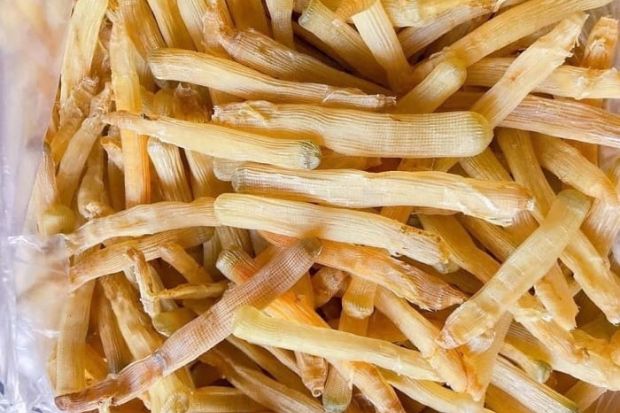 Đặc sản miền Bắc - Sá sùng khô