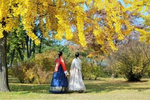 Đi du lịch Hàn Quốc cần bao nhiêu tiền? (Tự túc và tour)