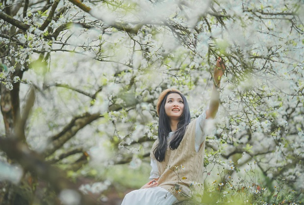 du lịch miền bắc mùa nào đẹp - Các mùa hoa đẹp nở rộ vào mùa xuân miền Bắc 