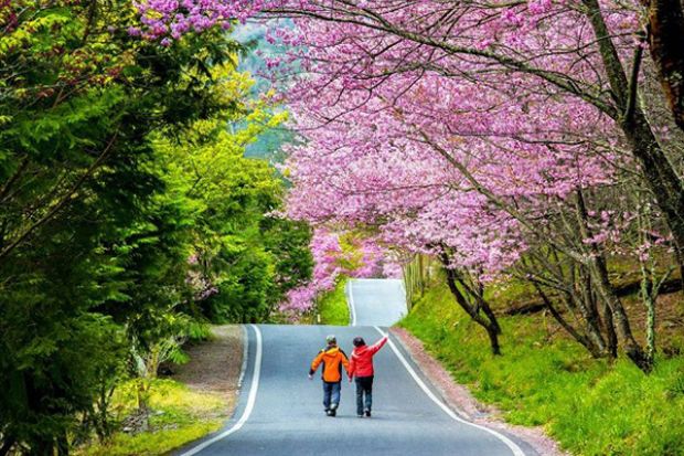 Địa điểm du lịch Đài Trung - Nông trường Vũ Lăng 