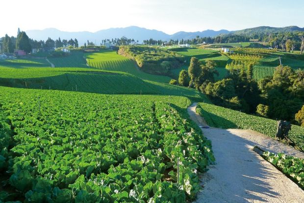 Địa điểm du lịch Đài Trung - Khu thắng cảnh Lishan 