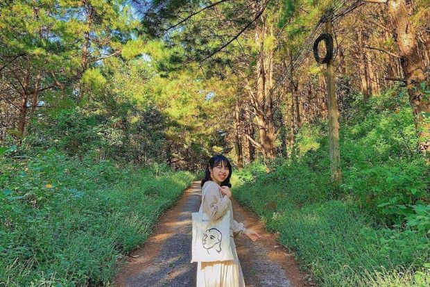 Địa điểm du lịch Gia Lai - N&uacute;i H&agrave;m Rồng