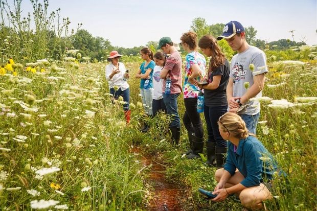 Những l&yacute; do n&ecirc;n du học Mỹ ng&agrave;nh m&ocirc;i trường