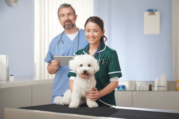 du học Mỹ ng&agrave;nh Th&uacute; y