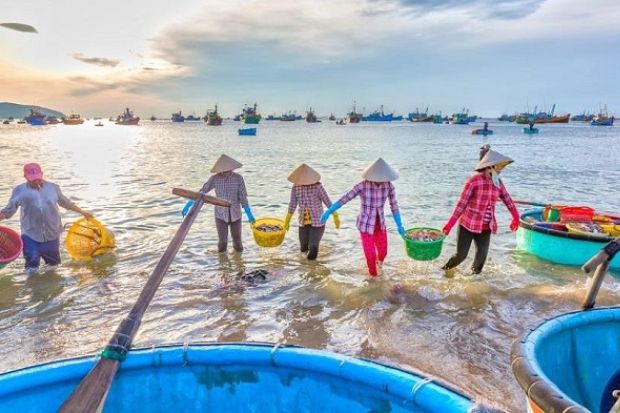 Du lịch Mũi Né 2 ngày 1 đêm tự túc - Làng chài