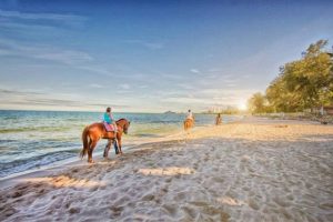 Lên kế hoạch du lịch Thái Lan với loạt tour ấn tượng giá rẻ