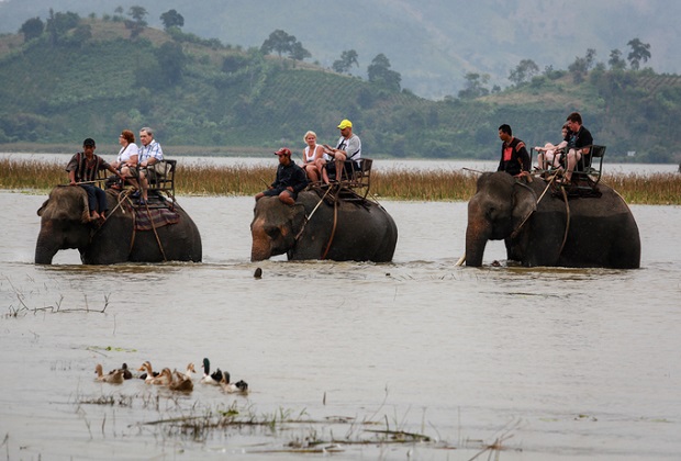 hồ lắk - cưỡi voi vượt sông ở hồ lắk