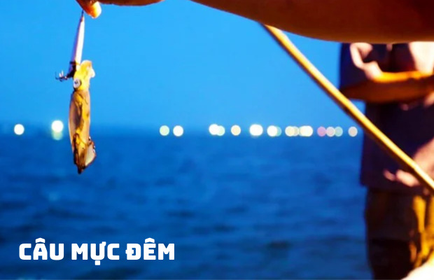 Tour Câu Mực Đêm Phú Quốc 1 Ngày và Ngắm Hoàng Hôn