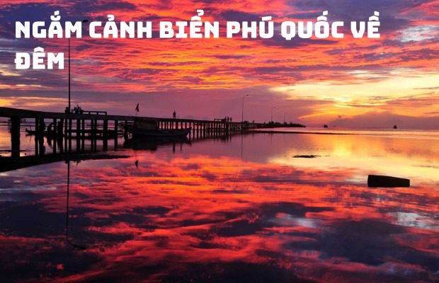 Tour Câu Mực Đêm Phú Quốc 1 Ngày và Ngắm Hoàng Hôn