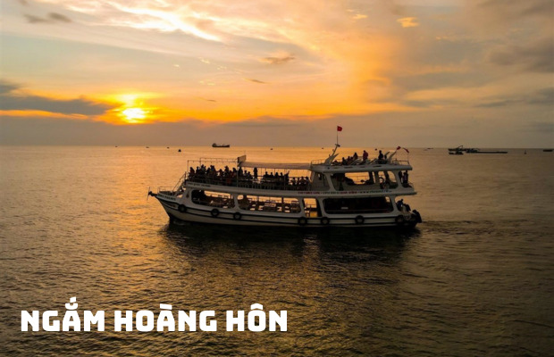 Tour Câu Mực Đêm Phú Quốc 1 Ngày và Ngắm Hoàng Hôn
