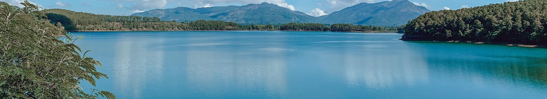 Image Banner default