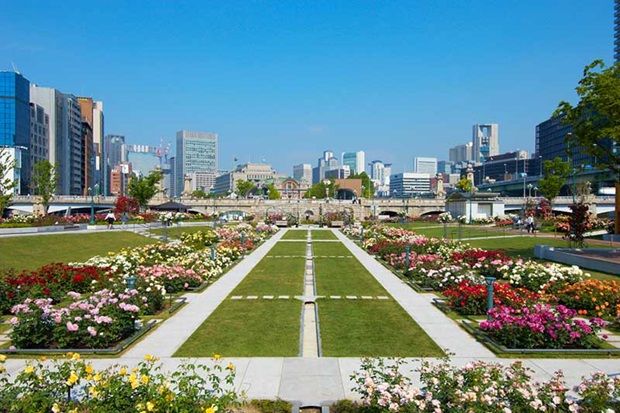 Địa điểm check in Osaka - C&Ocirc;NG VI&Ecirc;N NAKANOSHIMA